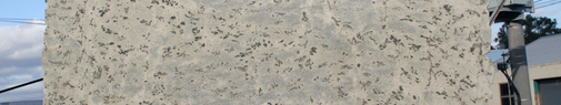 Granite Slab - Green Eucalipto